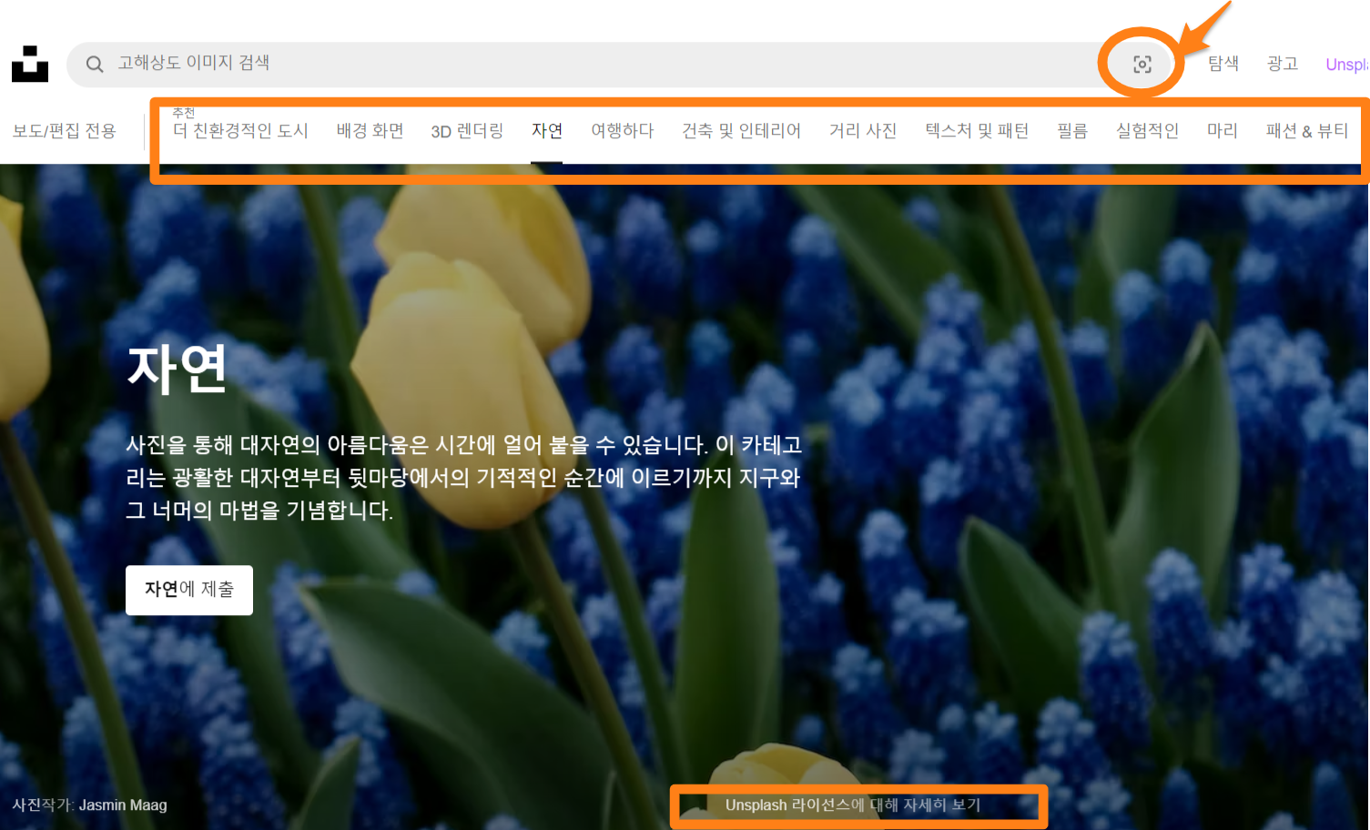 무료_이미지_다운로드_unsplash_언스플래쉬