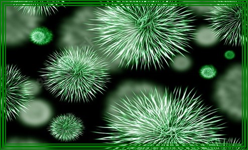 임신 축하 선물 추천