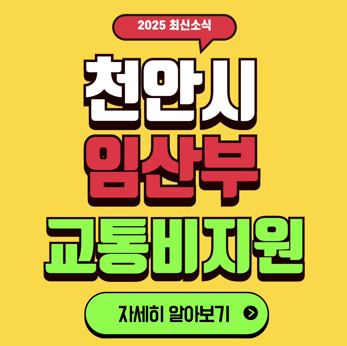 천안 임산부 교통바우처