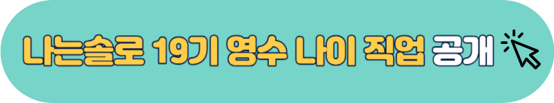 나는솔로 19기 영수 직업