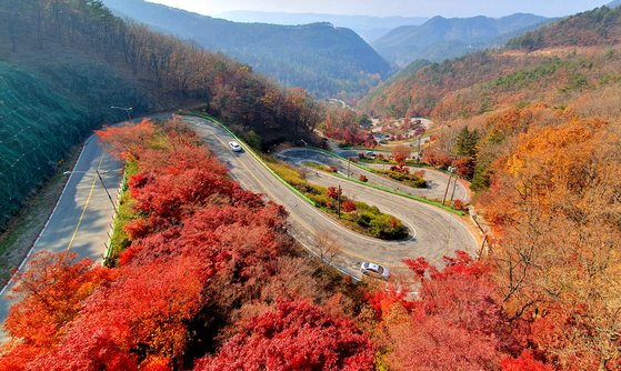 가을 단풍여행 추천지 베스트 보은 말티재 전망대