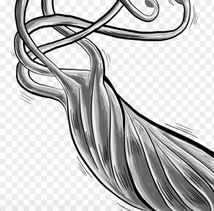 헬리코박터균 9