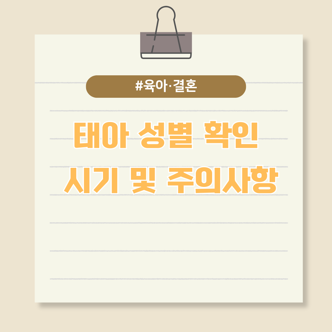 태아 성별 확인 시기 및 주의사항