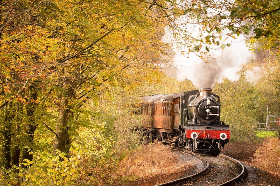 Train timetable.