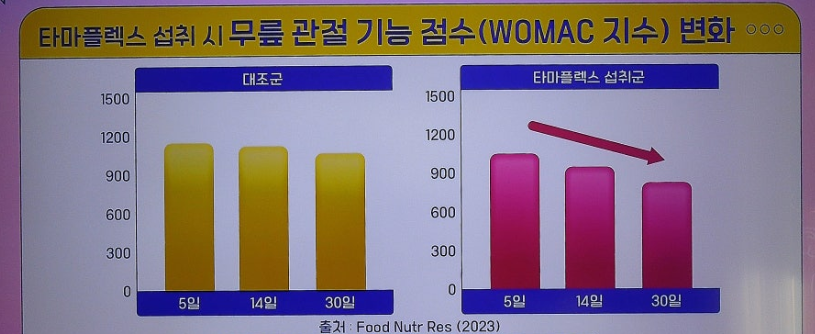 타마플렉스-효능2