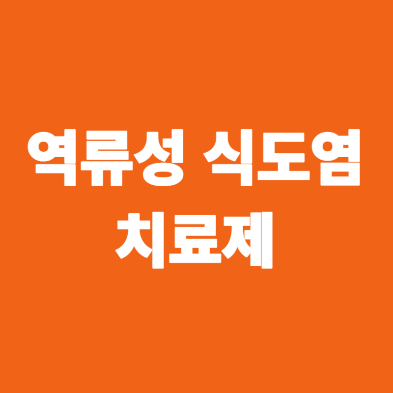 역류성 식도염 치료제