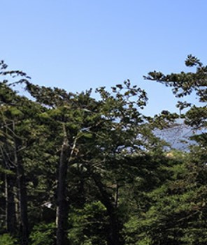 완도여객선터미널 제주 배편 예약과 시간표 및 운임요금 및 주차요금 관련사진