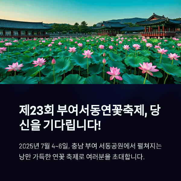제23회 부여 서동연꽃축제 2025, 사랑과 연꽃의 향연 속으로