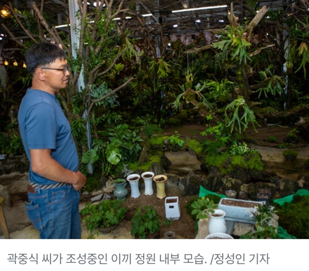 한국기행-지리산-이끼식물카페-