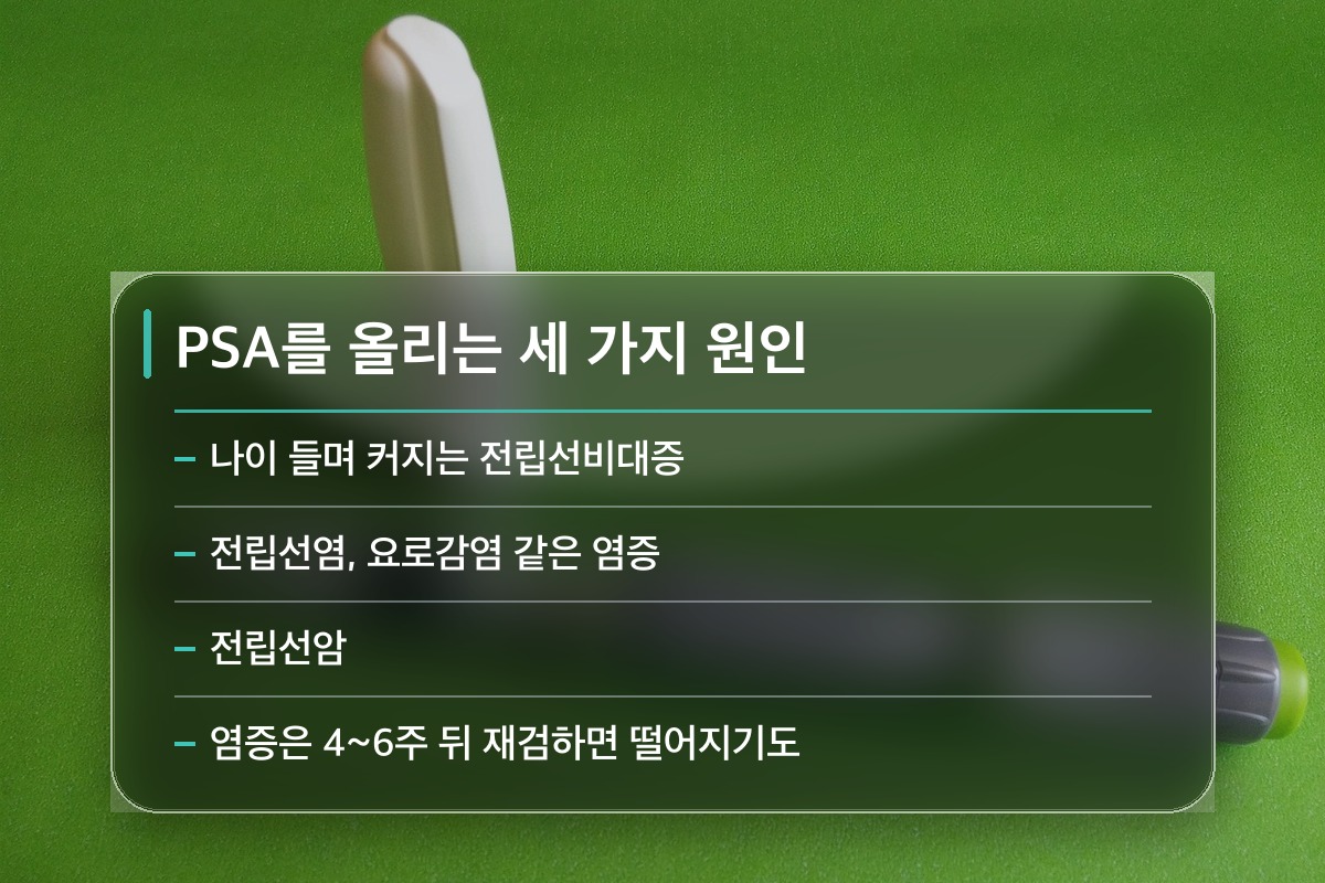 전립선 검사 PSA 전립선 검사 PSA를 밀어 올리는 원인들