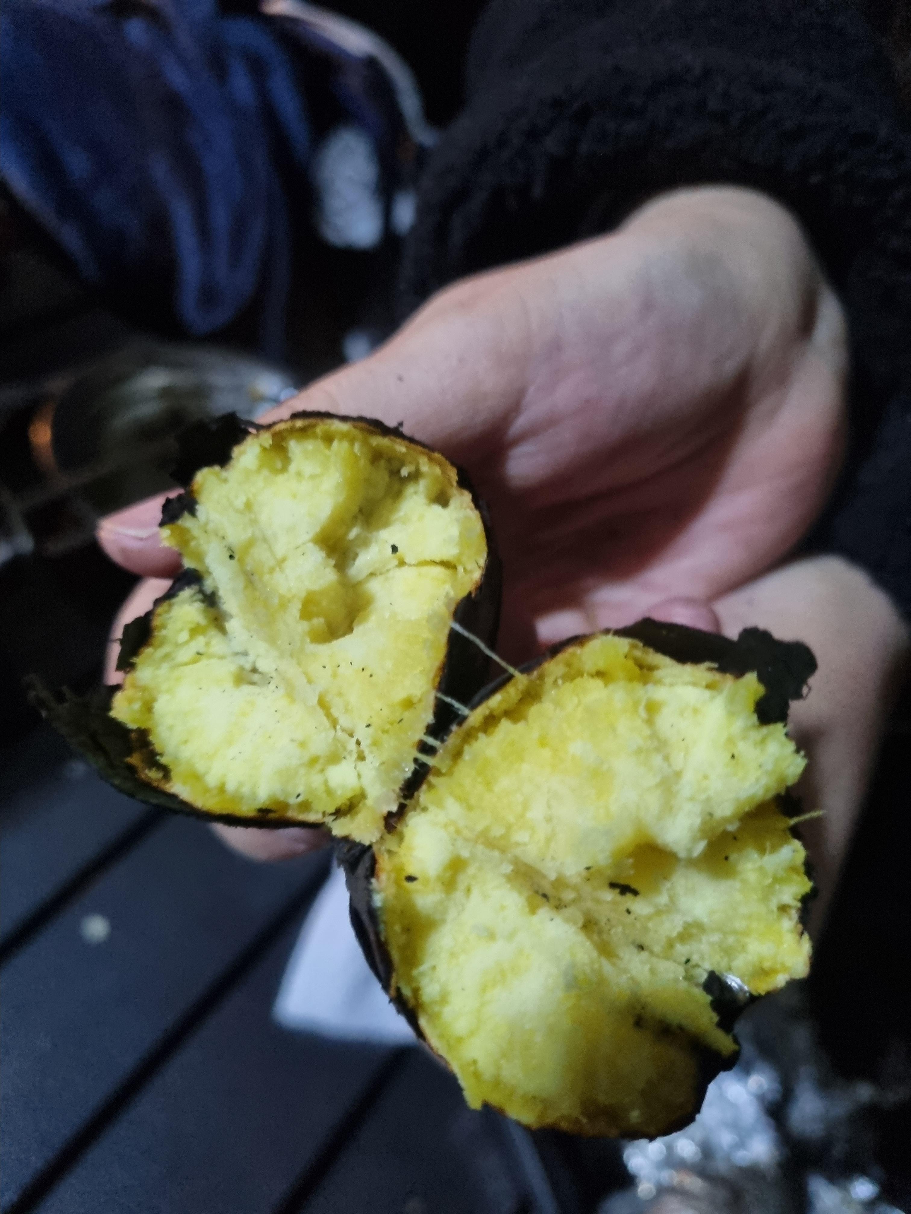 그린하우스캠핑장