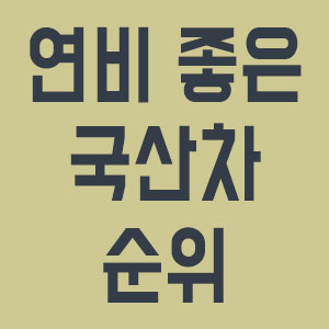 마음에 드는 차량의 상세 제원과 옵션을 확인하는 모습