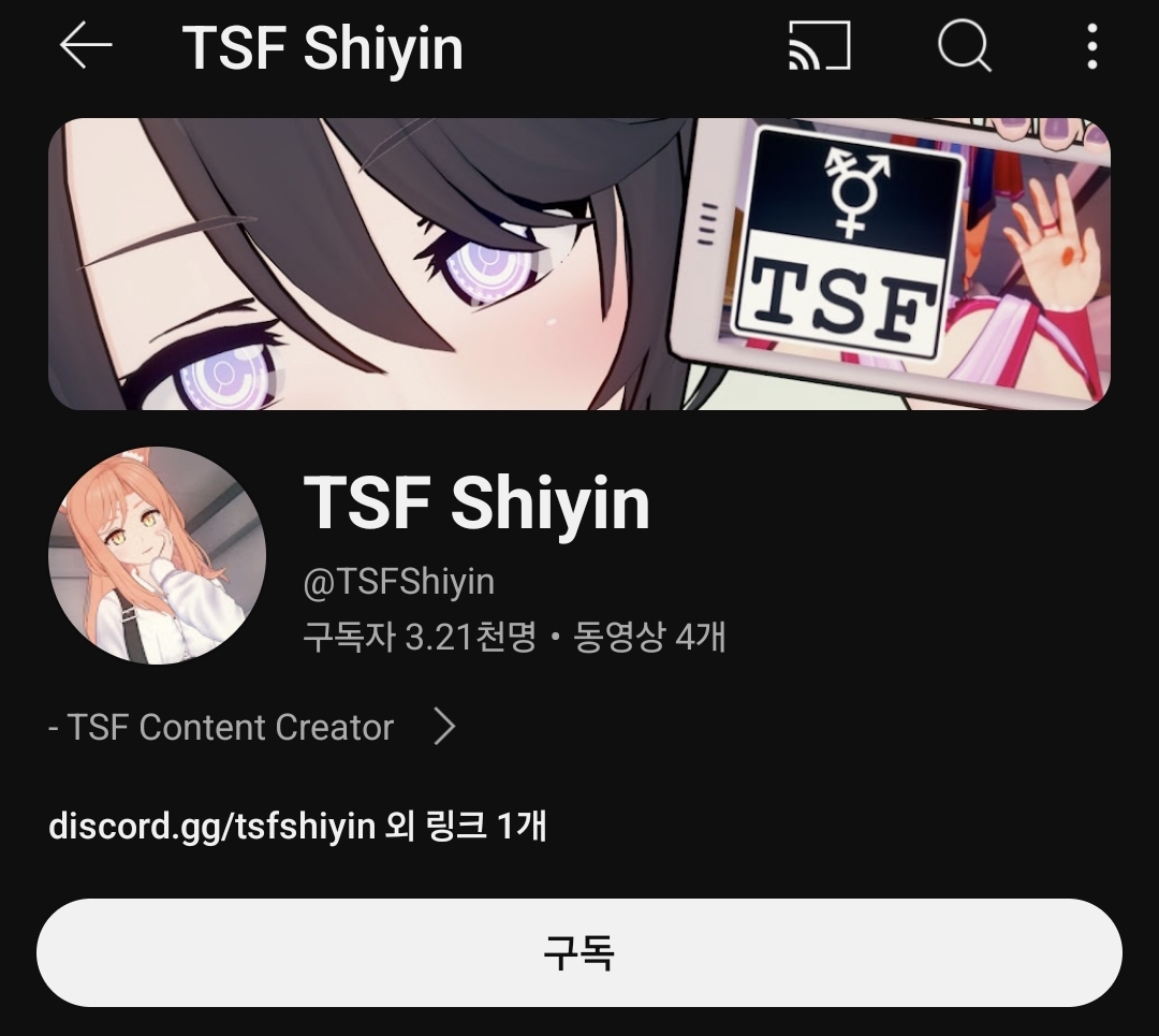 TSF Shiyin 유튜브 채널 이미지