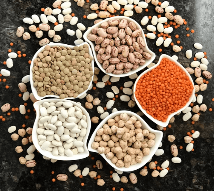 다양한 콩 사진