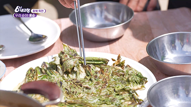 6시 내고향 다시보기