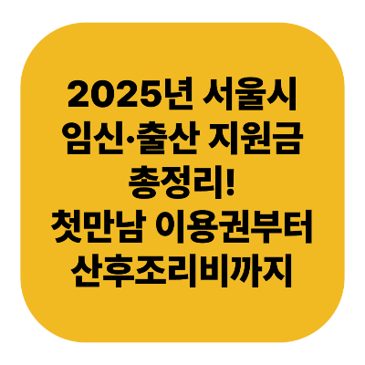 2025년 서울시 임신&middot;출산 지원금 총정리｜첫만남 이용권부터 육아휴직 급여까지