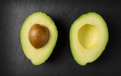 블루베리 관련 사진