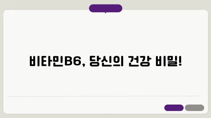 비타민B6 하루 권장량