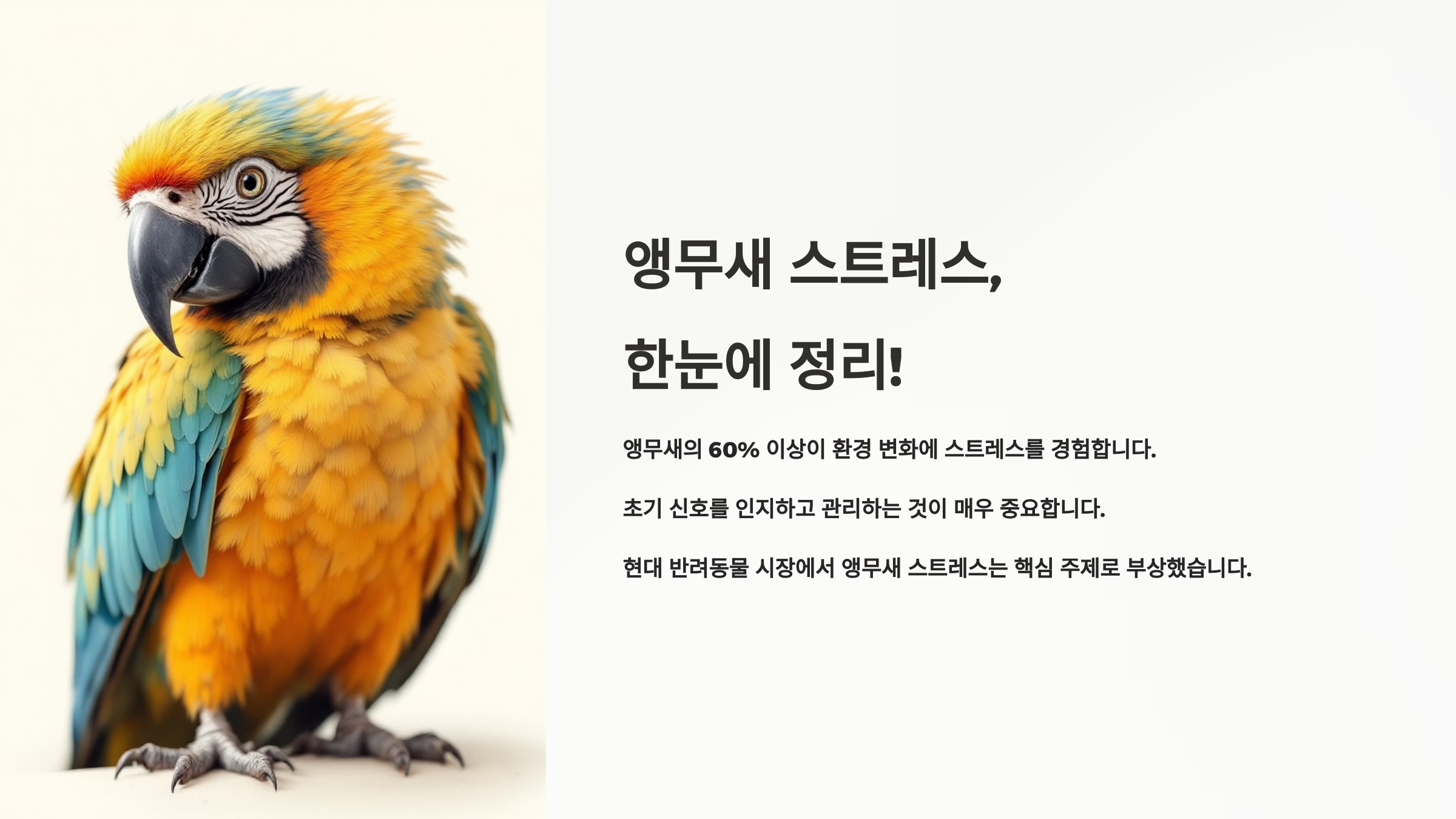 앵무새 스트레스 받는 신호부터 해소 방법까지 한 번에 정리!
