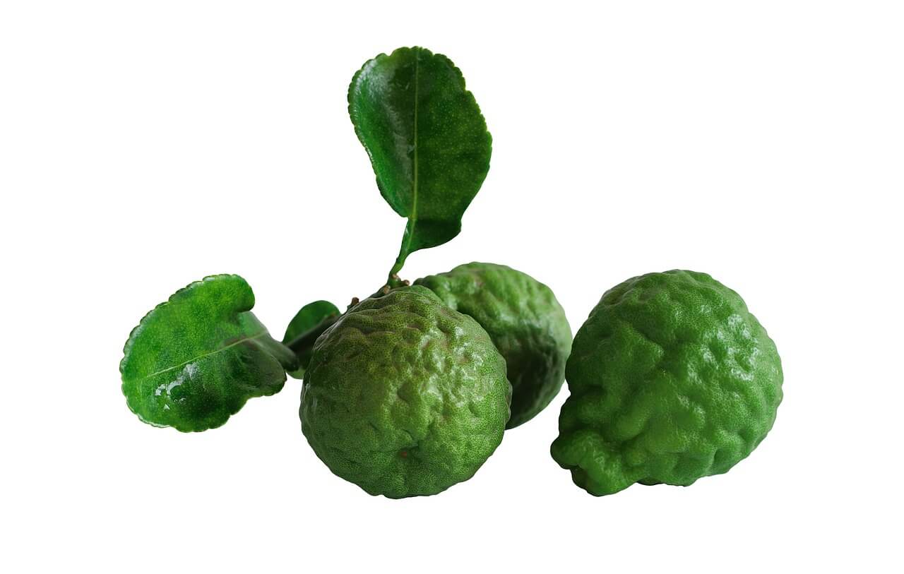 베르가못 이미지