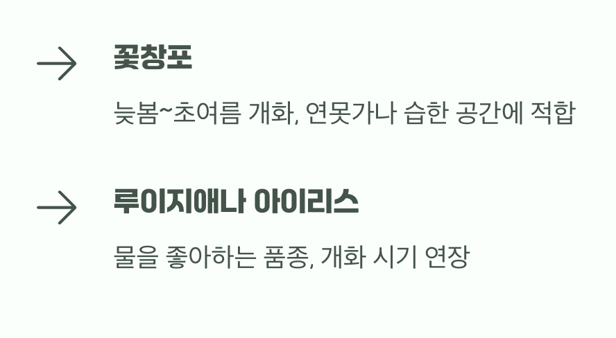 여름까지 이어지는 우아함