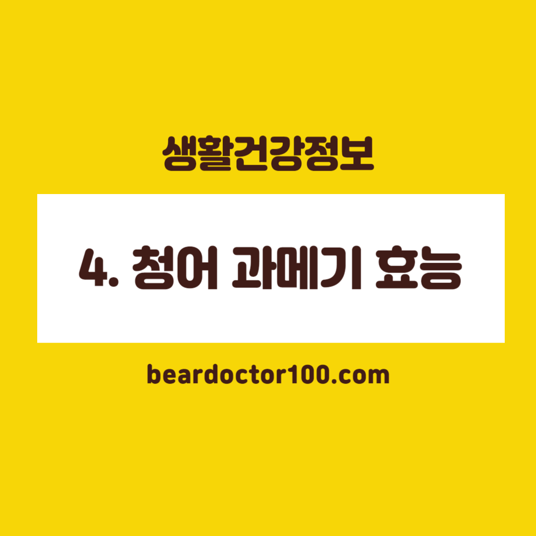 4. 청어 과메기 효능