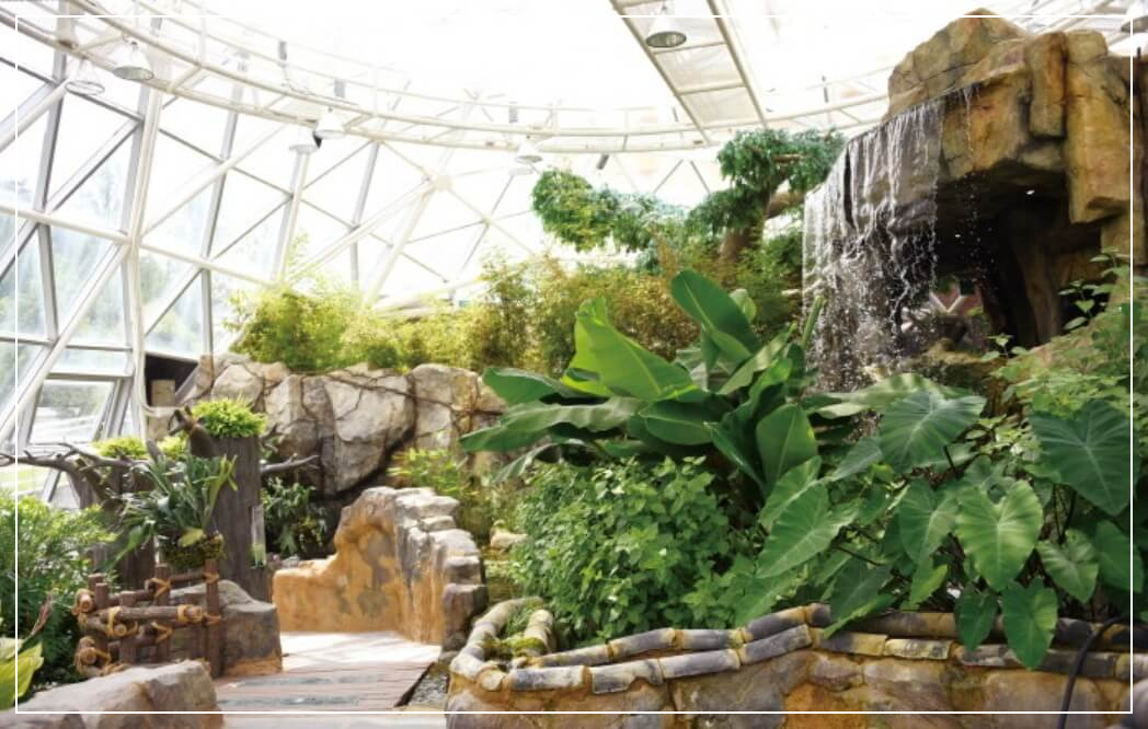 담양 가볼만한곳 베스트10 개구리생태공원