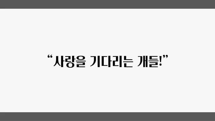 유기견보호소 건강한 아이들 김해유기견보호소