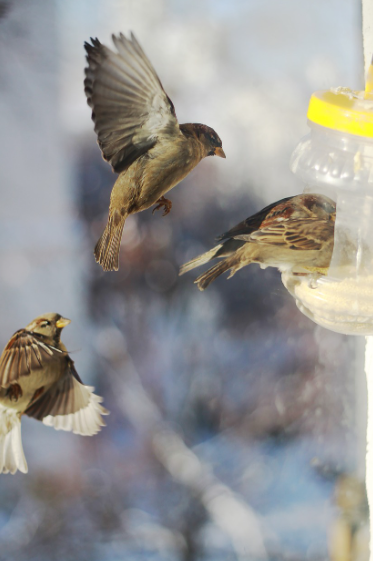 자기계발 심리학 분석 사진