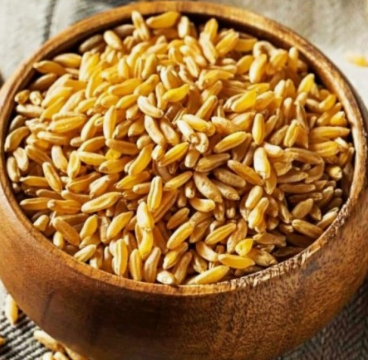 카무트 효능 10가지! 당뇨있다면 꼭 보세요