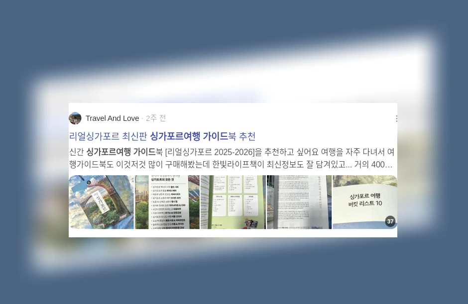 싱가포르 여행 가이드_2_subsection