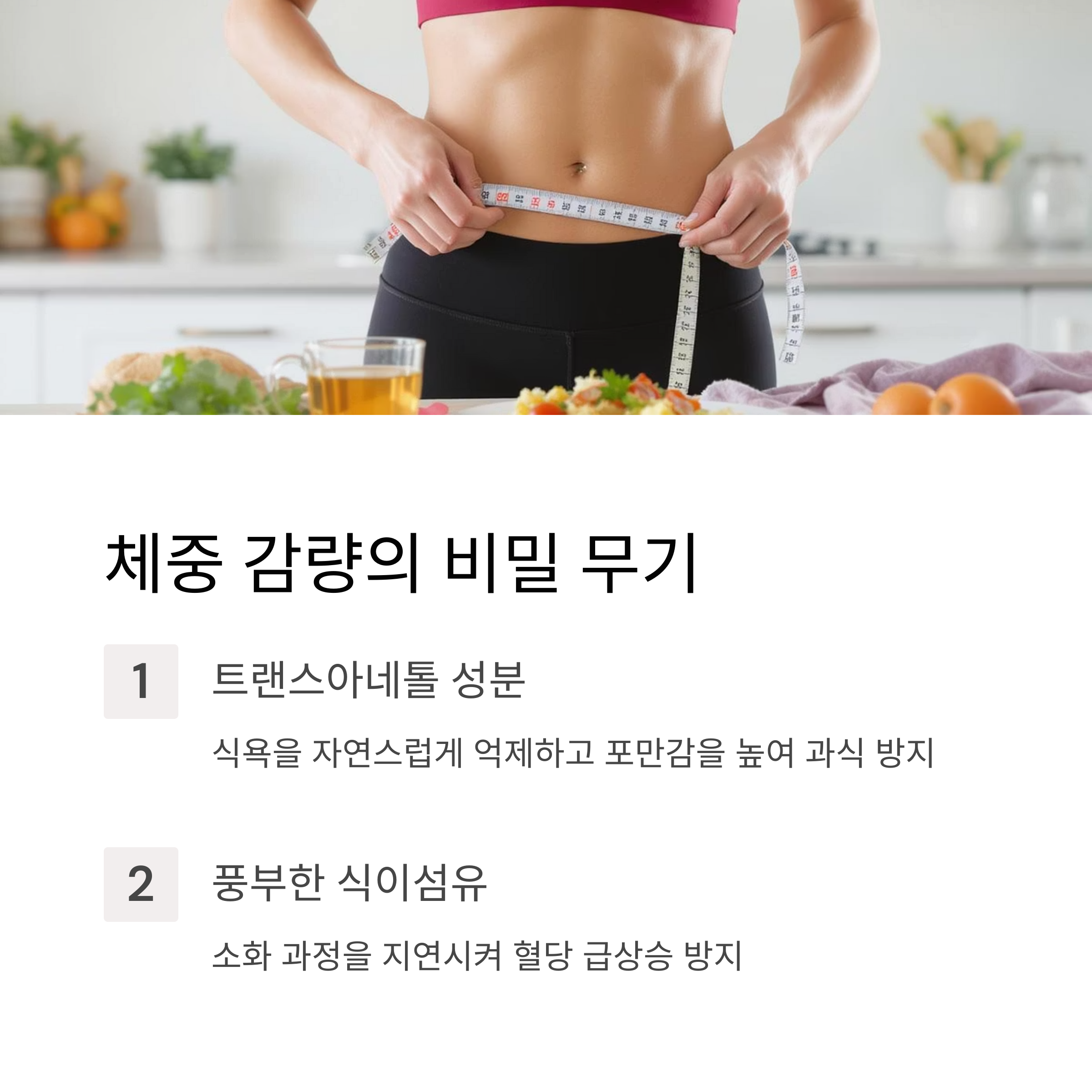 섬유질 풍부