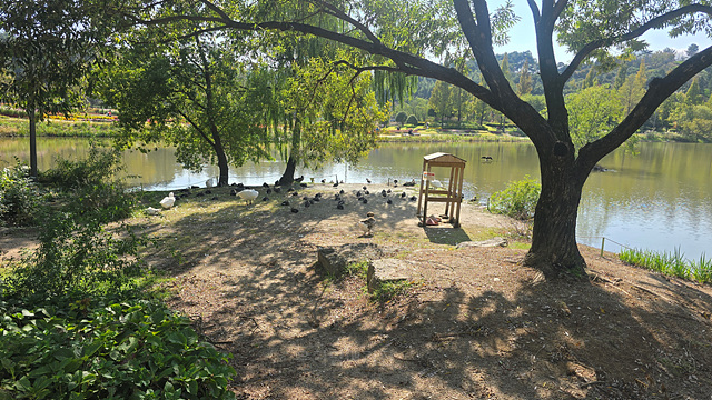 2025 순천만 국가정원 순천여행 맛집 현지인 추천 맛집 순천만 숙박