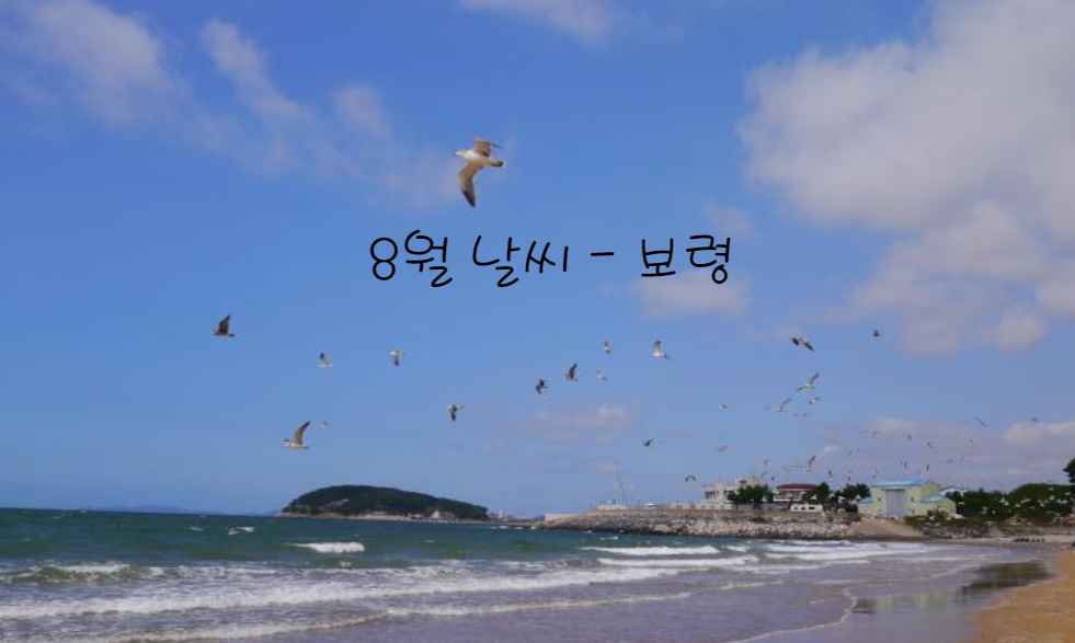 보령