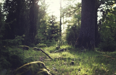무공해 차량 혜택