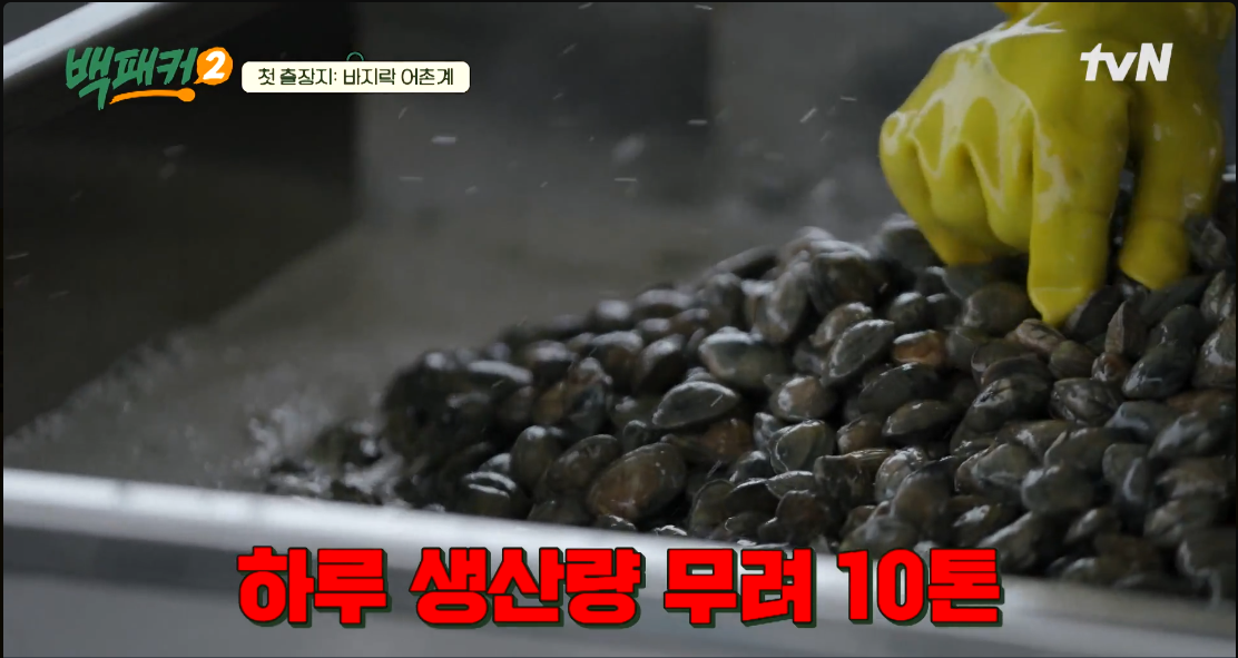 백패커2 1화 바지락 SOS 공식영상 출처 TVN