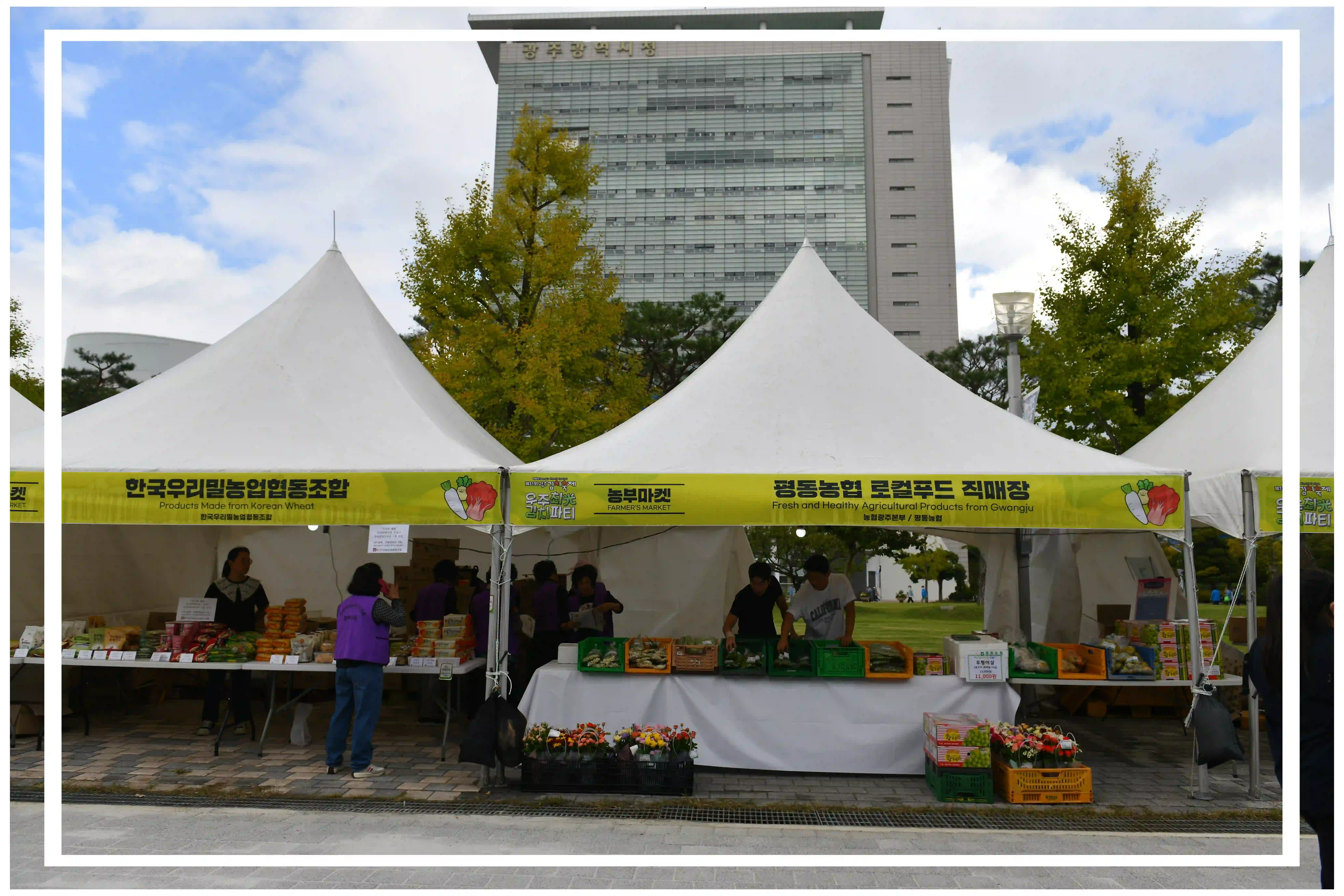 광주 김치축제 이미지 사진
