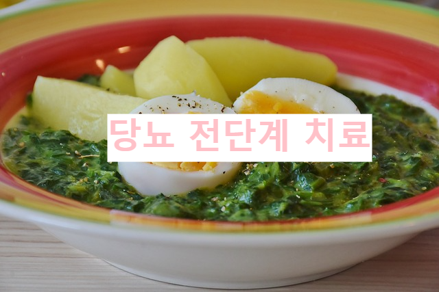 당뇨 전단계 치료
