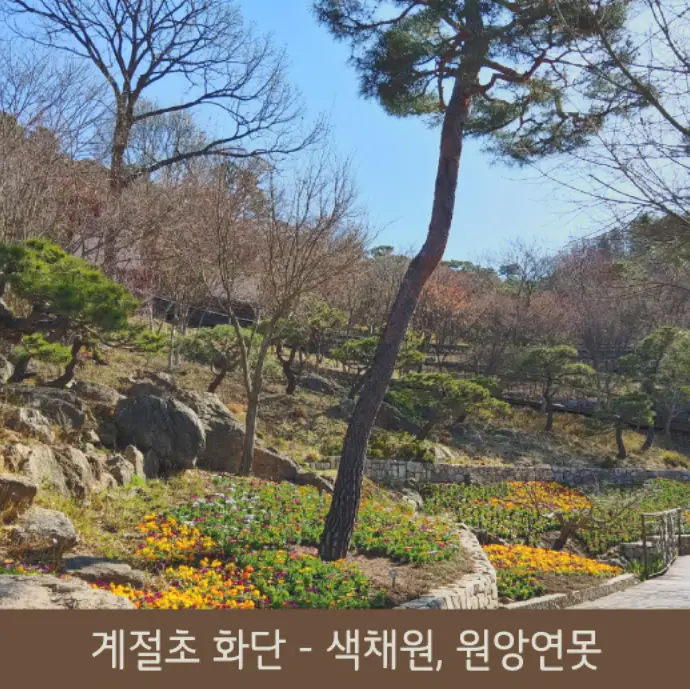 화담숲 테마