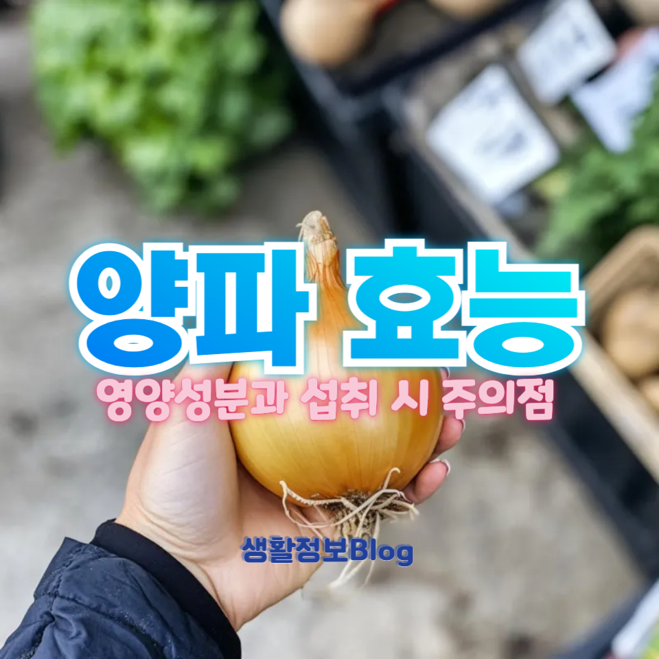 양파를 많이 먹으면 영양적으로 좋을까?