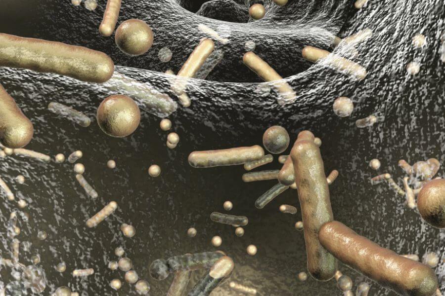 세균막(바이오 필름) 경험이 남긴 생활 습관 변화의 시작