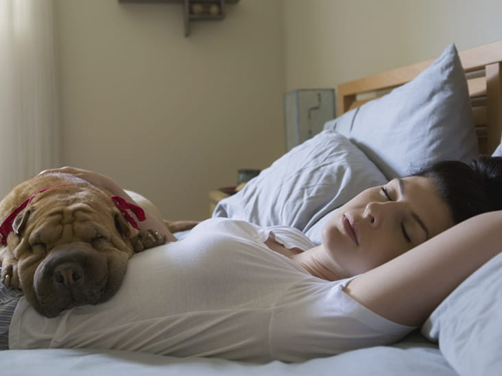 내가 어제 숙면했는지 아는 법 l 숙면이란? What Is Deep Sleep? 