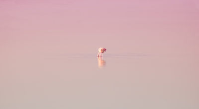 독일의 힐데가르트의 의학