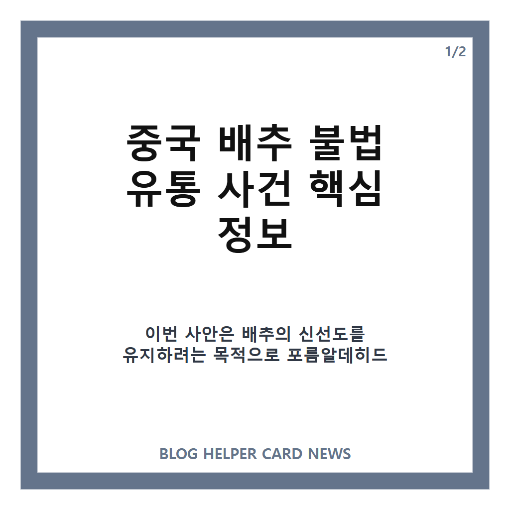 중국 배추 불법 유통, 포름알데히드 사용 적발과 해외 수출 여부 정리 카드뉴스 1