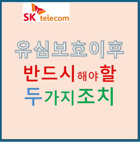 유심보호 서비스 신청 후 반드시 해야 할 두 가지 조치, 여신성 금융거래 안심차단, 비대면 계좌 개설 안심 차단