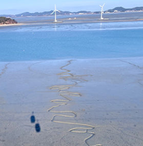 제부도 해상케이블카