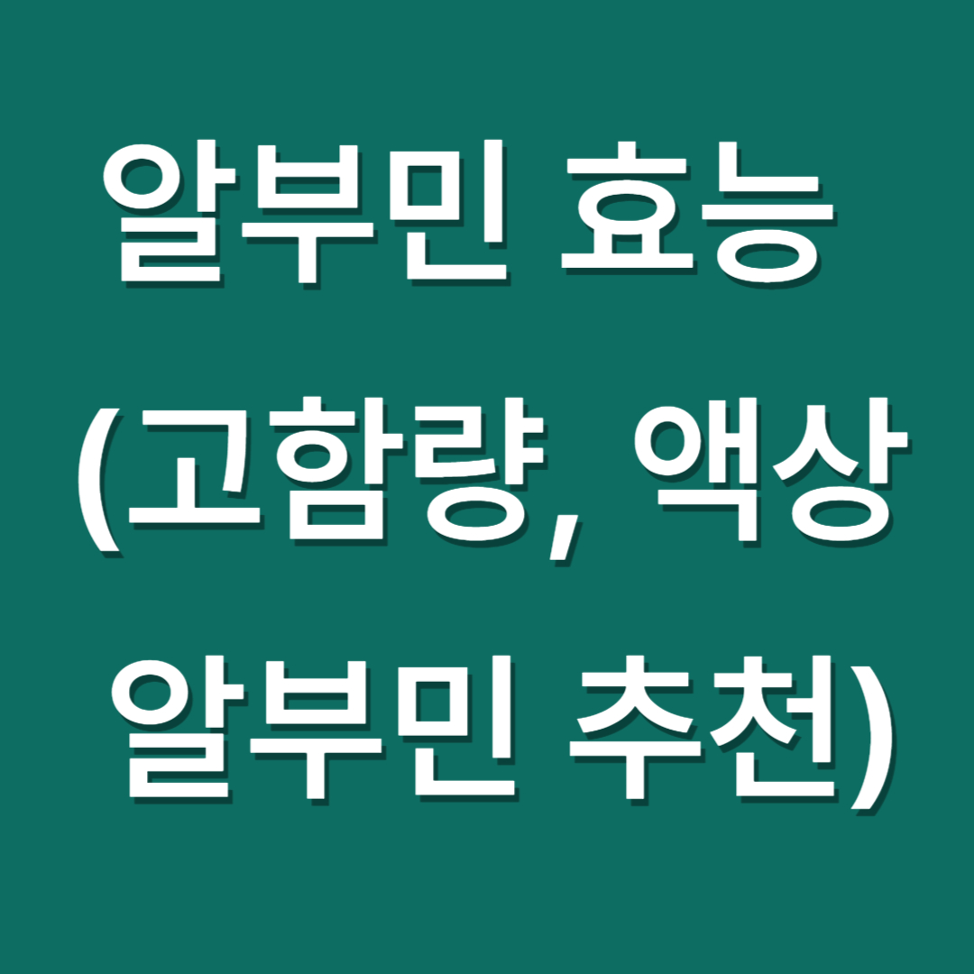 알부민 효능