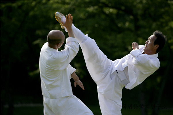 택견의 꽃 발질