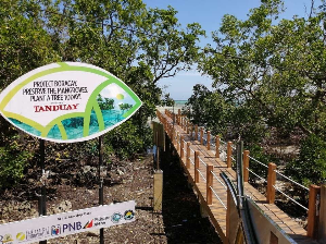 보라카이 여행 추천 루구탄 맹그로브 공원