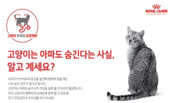 "집에서